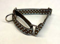 Brown with Light Blue Polka Dots Martingale Collar 3/4