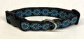 Brown with Blue Medallion Dog Collar 1in