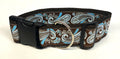 Brown with Blue Paisley Design Dog Collar 2in