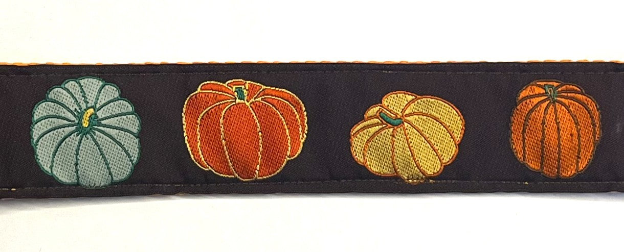 Brown with Blue, Orange, and Yellow Pumpkins Chain Martingale Collar 1 1/2 in