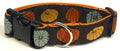 Brown with Blue, Orange, and Yellow Pumpkins Dog Collar 1 1/2 in
