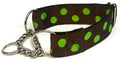 Brown with Lime Green Dots Chain Martingale Collar 1 1/2 in