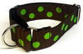 Brown with Lime Green Dots Martingale Collar 1 1/2 in