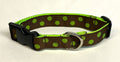 Brown with Green Dots Dog Collar 1in