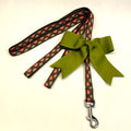 Brown with Green and Pink Half Circles Dog Leash 1/2