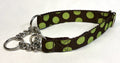 Brown with Green Offset Dots Chain Martingale Collar 1in