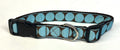 Brown with Light Blue Large Dot Dog Collar 1in