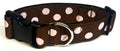 Brown with Light Pink Dots Dog Collar 1 1/2 in