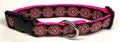 Brown with Pink Medallion Dog Collar 1in