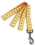 Candy Corns Dog Leash 1in