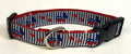 Democrat Donkeys and Paws Dog Collar 1in