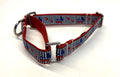 Democrat Donkeys and Paws Martingale Collar 3/4
