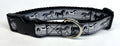 Gray with Horses Dog Collar 1in