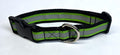 Green with Reflector Stripe Dog Collar 1in