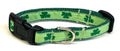 Green Shamrocks Dog Collar 1/2