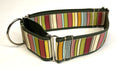 Green, Brown, White, Pink, Blue, Orange, Yellow Vertical Stripe Martingale Collar 2in