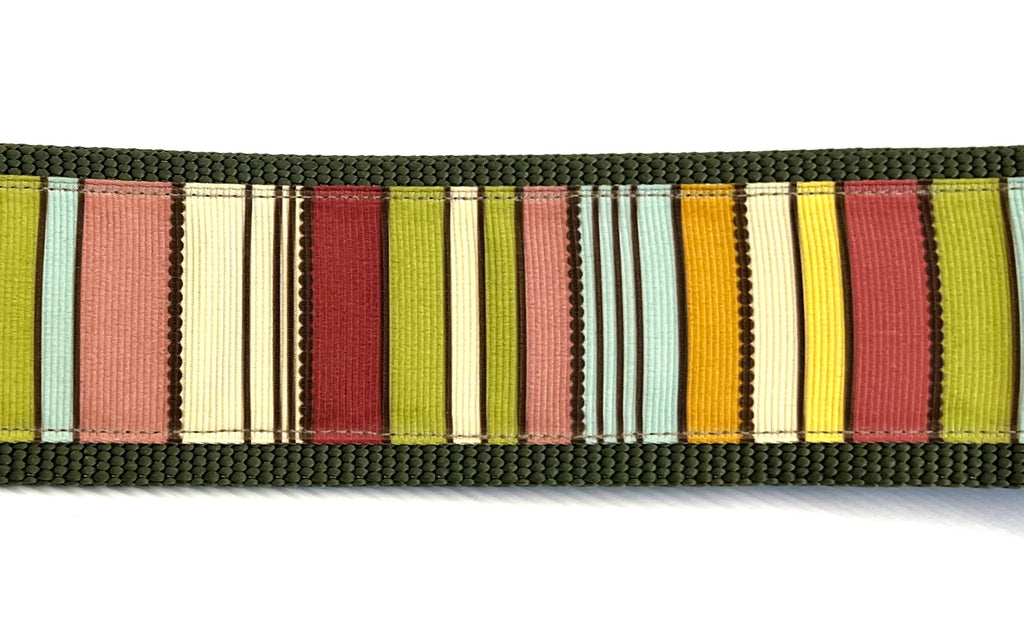 Green, Brown, White, Pink, Blue, Orange, Yellow Vertical Stripe Chain Martingale Collar 2in