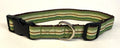 Green, Light Green, Brown, and White Stripes Dog Collar 1in