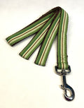 Green, Light Green, Brown, and White Stripes Dog Leash 1in