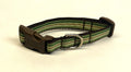 Green, Light Green, Brown, and White Stripes Dog Collar 1/2