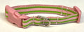 Green, Pink & White Stripe Dog Collar 1/2