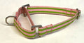 Green, Pink & White Stripe Martingale Collar 1/2