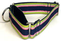 Lime Green, Pink, White, and Navy Stripe Martingale Collar 1 1/2 in