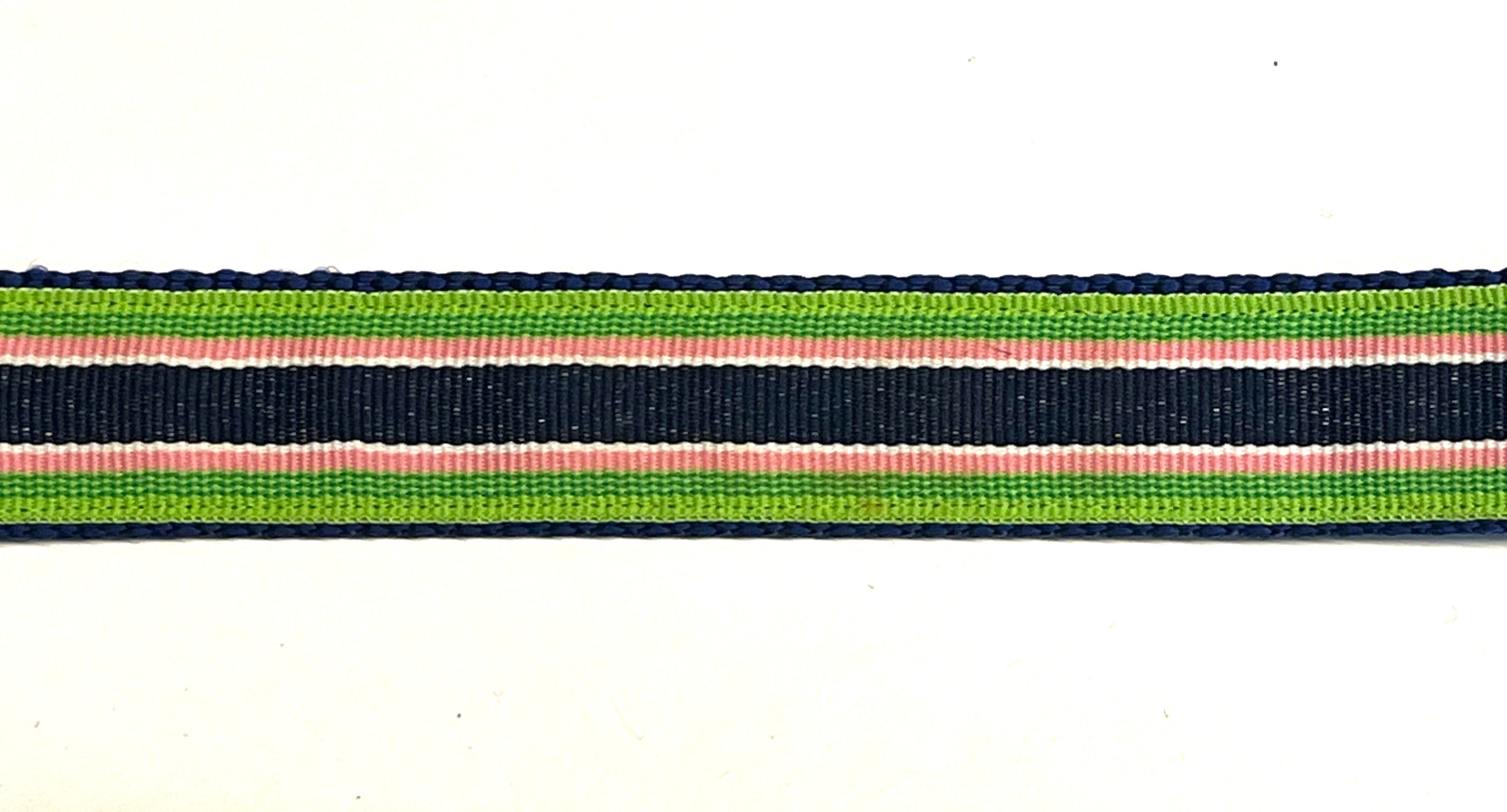 Green, Pink, White, and Navy Stripe Dog Leash 1in