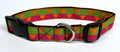 Green and Pink with Orange Hearts Dog Collar 1in