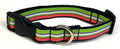 Green, Purple, White & Pink Stripe Dog Collar 3/4