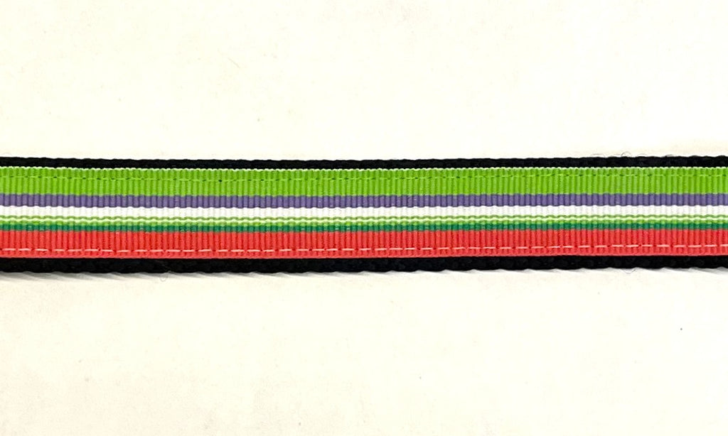 Green Purple White Pink Stripe Dog Collar 3/4 - multi-stripe ribbon on black nylon webbing