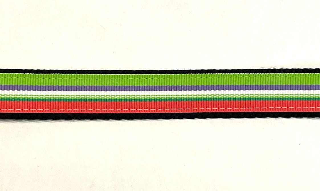 Green Purple White Pink Stripe Dog Collar 3/4 - multi-stripe ribbon on black nylon webbing