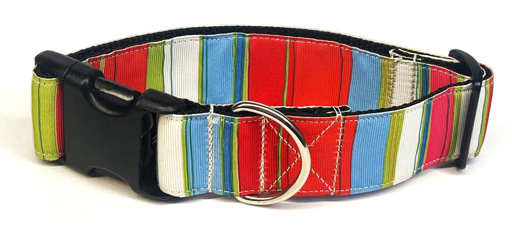 Green, Red, Blue, Yellow, White, and Pink Vertical Stripe Dog Collar 1 1/2 in