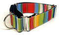 Green, Red, Blue, Yellow, White, and Pink Vertical Stripe Martingale Collar 1 1/2 in