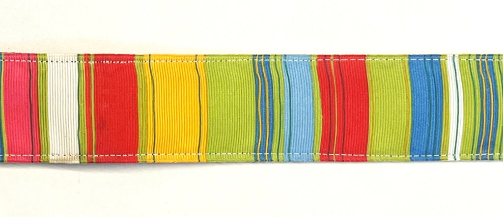 Green red blue yellow white pink vertical stripe dog collar 1.5 inch on black webbing