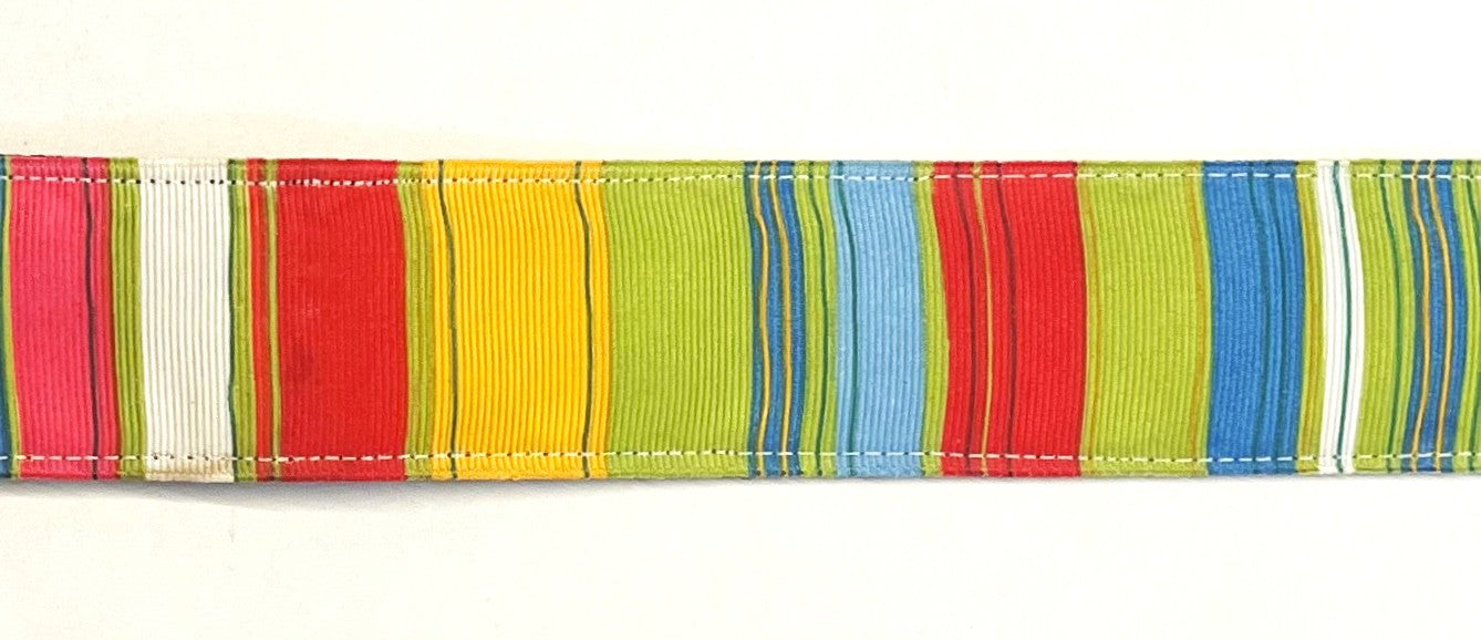 Green red blue yellow white pink vertical stripe dog collar 1.5 inch on black webbing