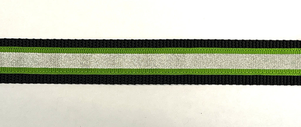 Green with Reflector Stripe Dog Leash 1in