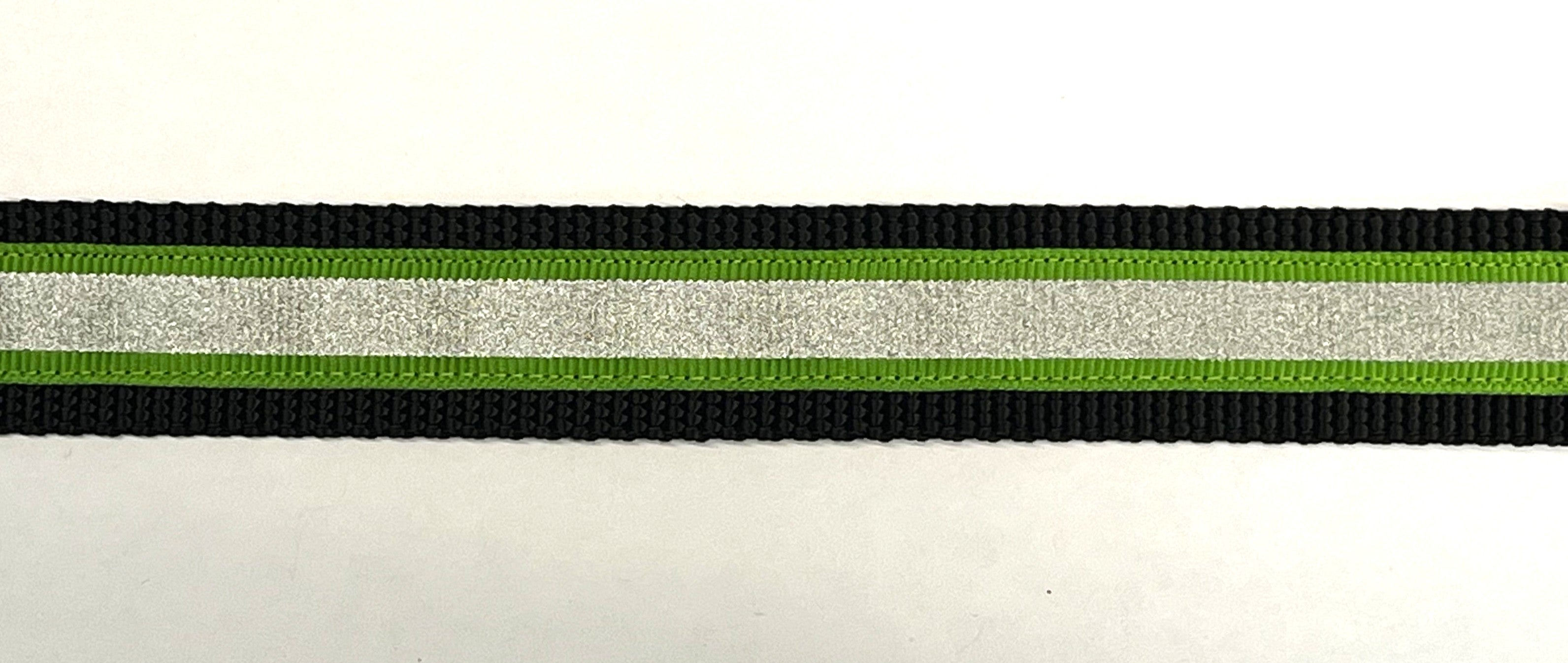 Green with Reflector Stripe Dog Leash 1in