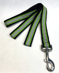 Green with Reflector Stripe Dog Leash 1in