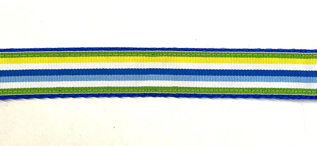 Green, Yellow, White, Blue, and Light Blue Stripe Dog Collar 1in