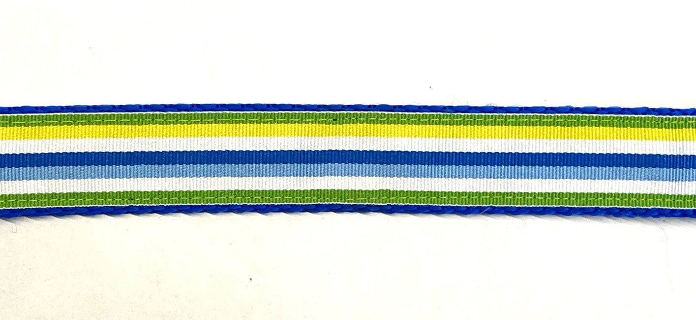 Green, Yellow, White, Blue, and Light Blue Stripe Dog Leash 1in