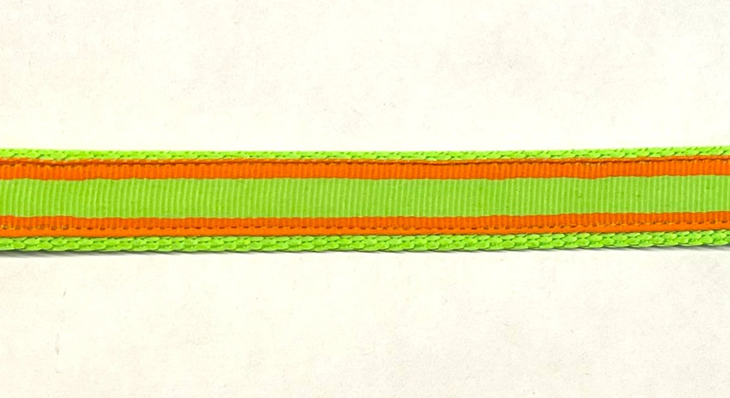 Green and Orange Stripe Dog Collar 3/4 inch on green webbing