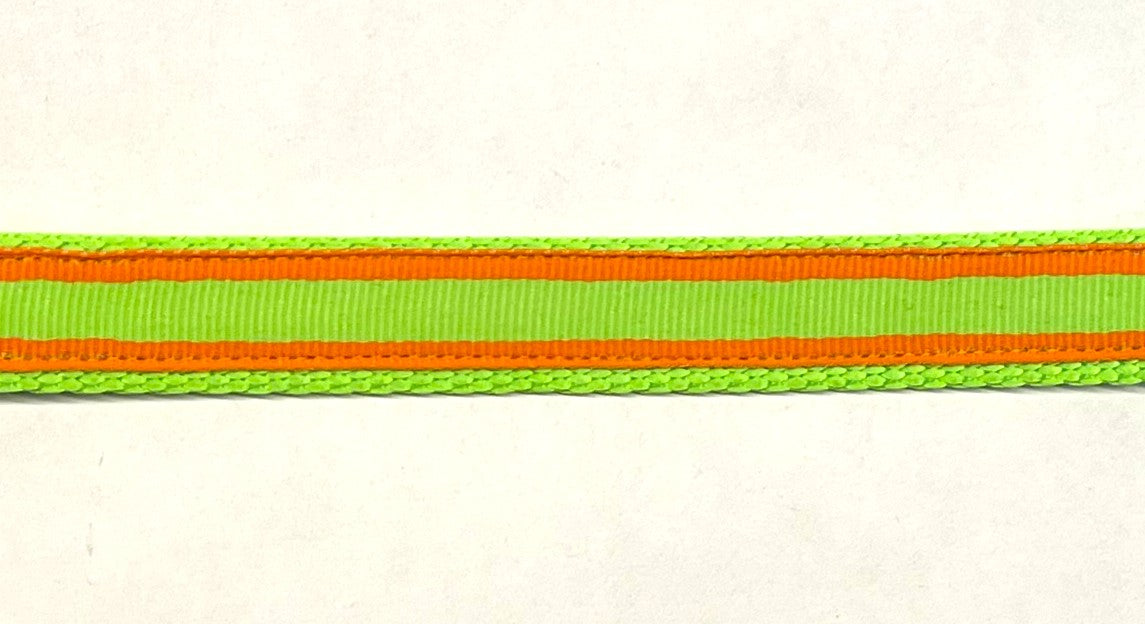 Green and Orange Stripe Dog Collar 3/4 inch on green webbing