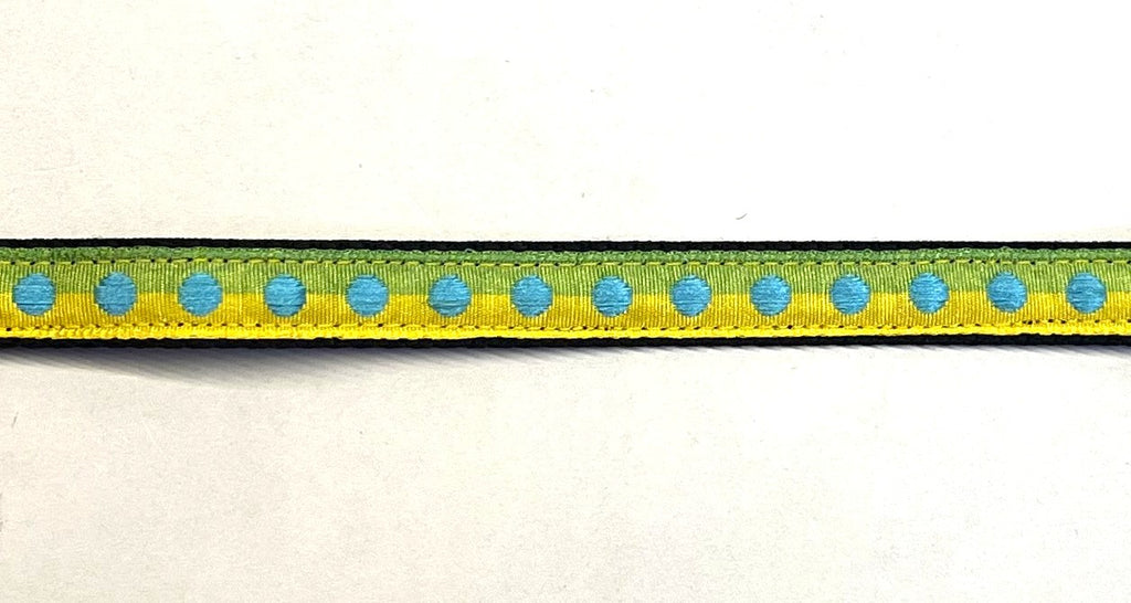 Green and yellow ribbon with blue dots on black webbing dog collar