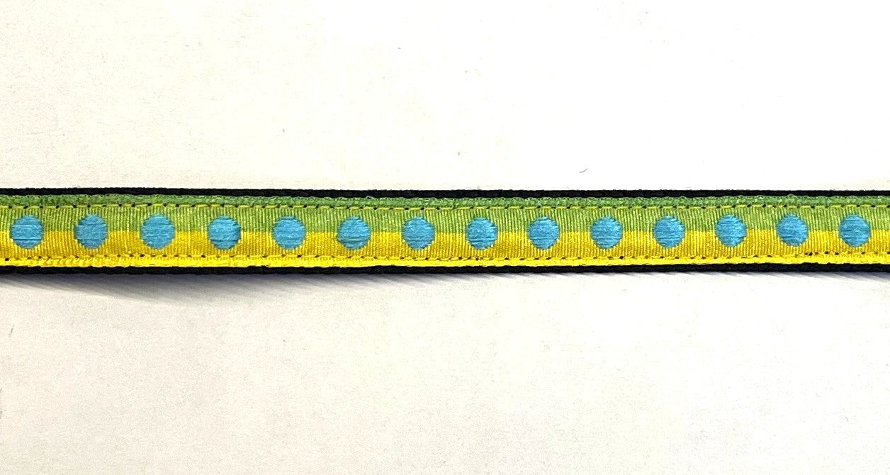 Green and yellow ribbon with blue dots on black webbing dog collar