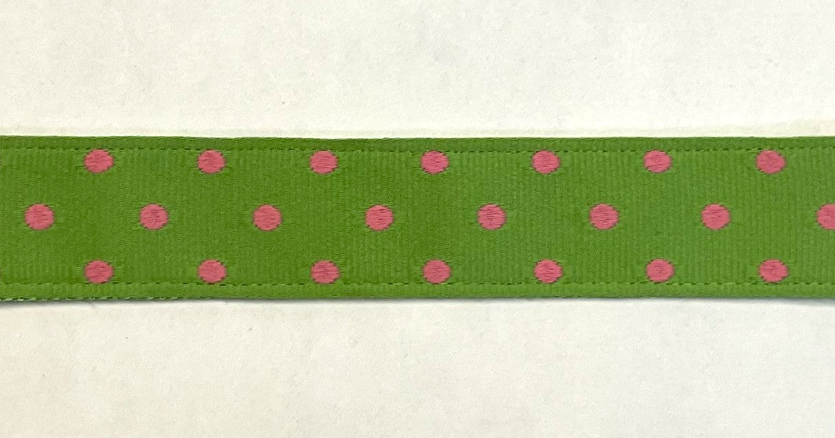 Green with Pink Polka Dots Dog Leash 1in