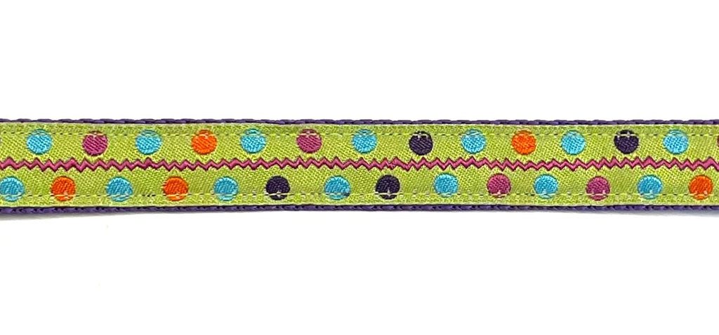 Green with pink zigzag and orange, blue, purple, pink dots dog collar on purple webbing