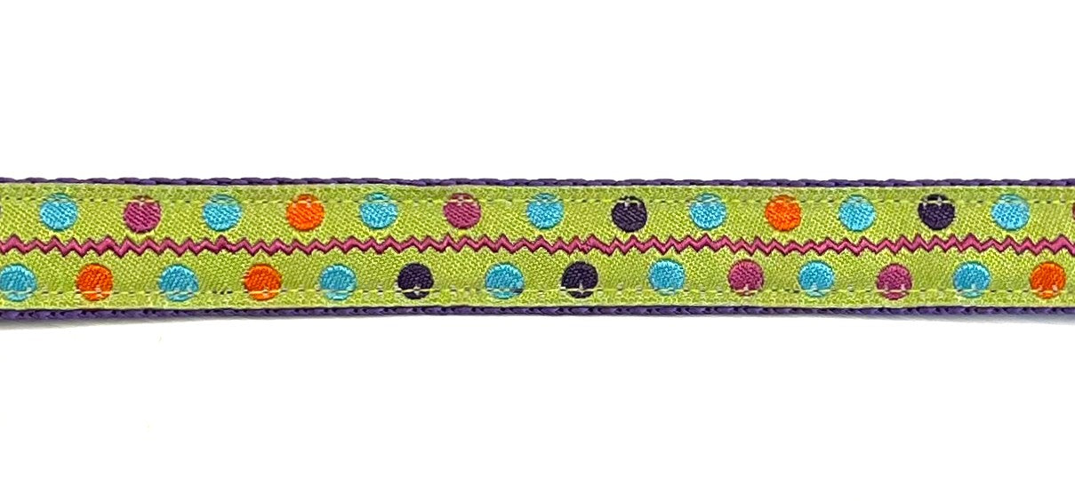 Green with pink zigzag and orange, blue, purple, pink dots dog collar on purple webbing