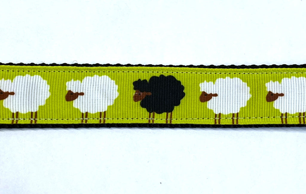 Green with Sheep Dog Collar 1in