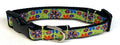 Green with 70s Flowers Dog Collar 3/4